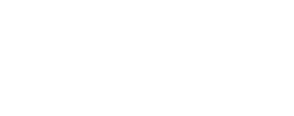Belle Guitars-1024x404